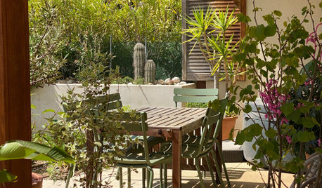 Avant/Après : Un jardin où la nature du Sud reprend ses droits