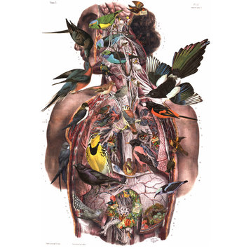 "Suet" Altered Art Paper Collage, Vintage Bird and Anatomy Illustration