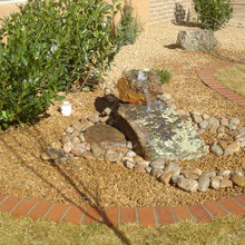 backyard landscape