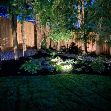Backyard garden
