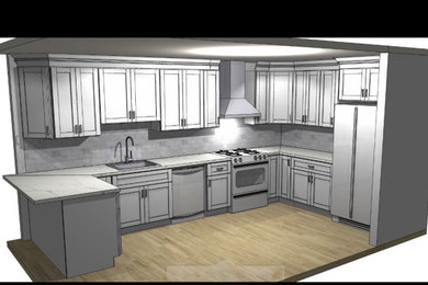 Example of a minimalist kitchen design in Philadelphia