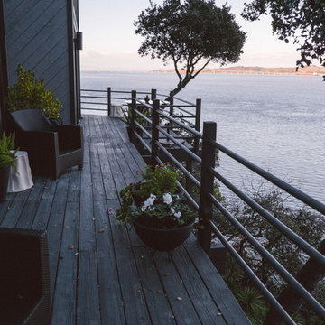 Tiburon Panoramic