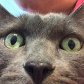 Steve Richardson's photo