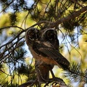 Amy Elnicki's photo