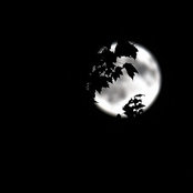 Tamar Waskeys foto