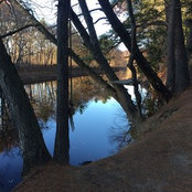 Michele Lyons's photo