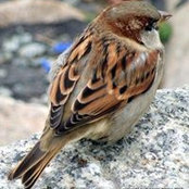 Frances Möller's photo