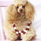 Dorothy Bearden's photo