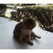 Evan Lowenthal's photo