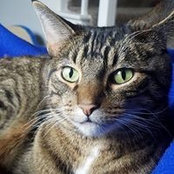 Amanda Leannais's photo