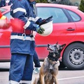Foto von Grigoras Petru