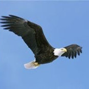 Keith Beck's photo