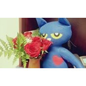 Xiaol Wang's photo
