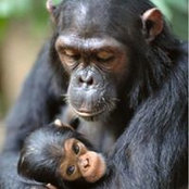 Foto von Rae Smith