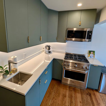 Upstate New York - Kitchen remodel & Furniture sourcing