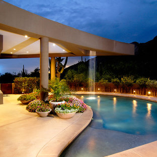 フェニックスのキドニーシェイプコンテンポラリースタイルのおしゃれなプールの写真