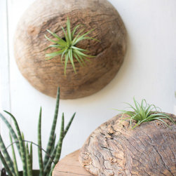 Accessories - Home Decor