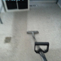Carpet Cleaning - Carpet & Steam Cleaners