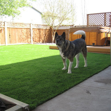 Dog Yards