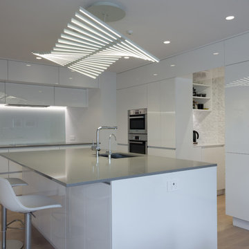 Takapuna Apartment