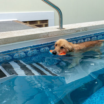 Indoor Spa and Pool Addition in Moseley