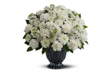 Regal Flowers Norwalk
