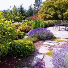 Landscape Ideas