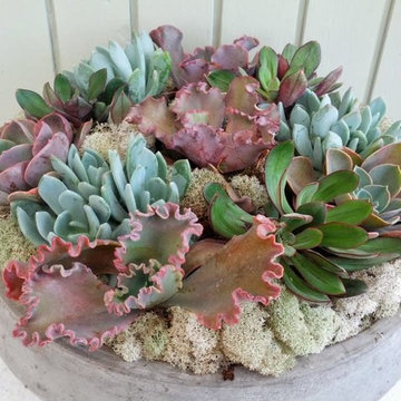 Fine Gardening