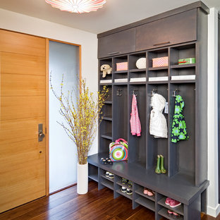 Выдающиеся фото от архитекторов и дизайнеров интерьера: тамбур в современном стиле с паркетным полом среднего тона