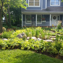 front yard