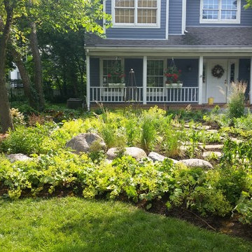 Rockford mulch-less front yard