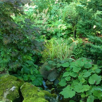 Sensational Shade Gardens