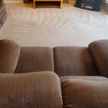 Carpet Cleaning a House Which Has Not Been Steam Cleaned for 8 Years Located in