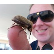Travis Johnson's photo