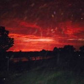 Foto von Marcus Moorehead