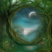 Ann Arsenault's photo
