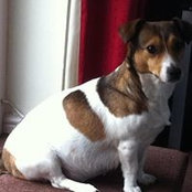 Gillian Green's photo