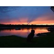 Catherine Mchenry's photo