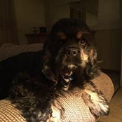 Teri Nobbs's photo