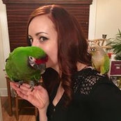 Amy Olsons foto