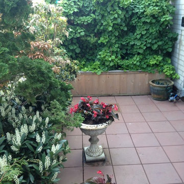 general landscaping