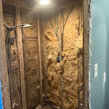 Bathroom renovation