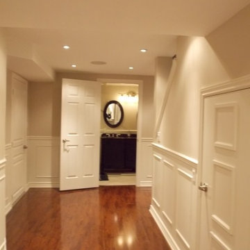 Basement Remodel