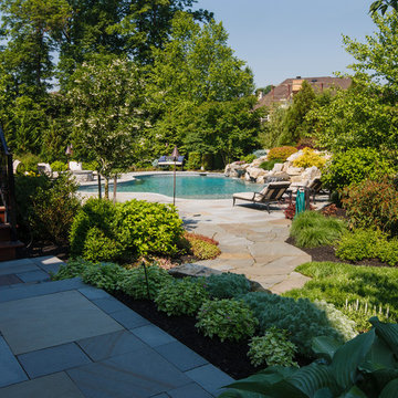 Custom Pools with Lush Landscaping