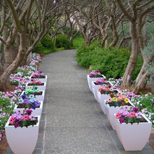 Planters