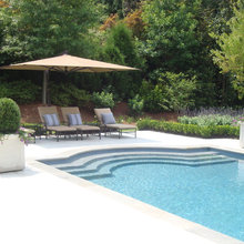 Backyard oasis
