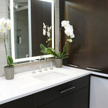 Modern City Style: Linear Taupe and Espresso Master Bath