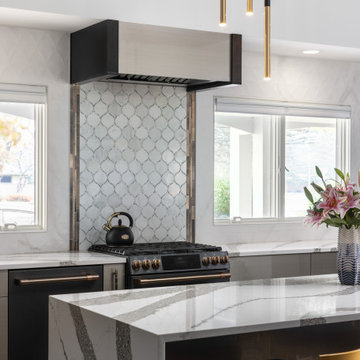 Bloomfield Hills Modern Kitchen