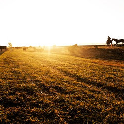 Sunrises - Photographs