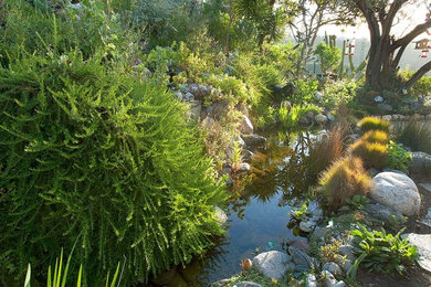 Inspiration for a landscaping in Los Angeles.